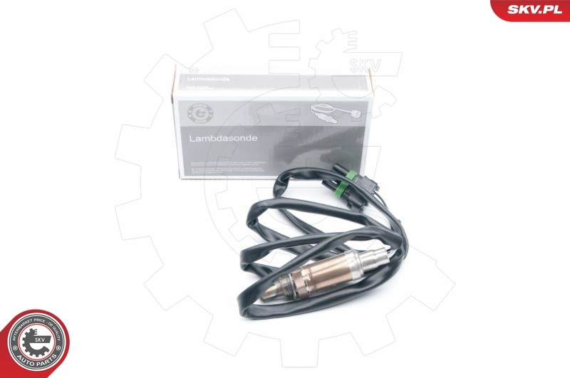 Oxygen Sensor